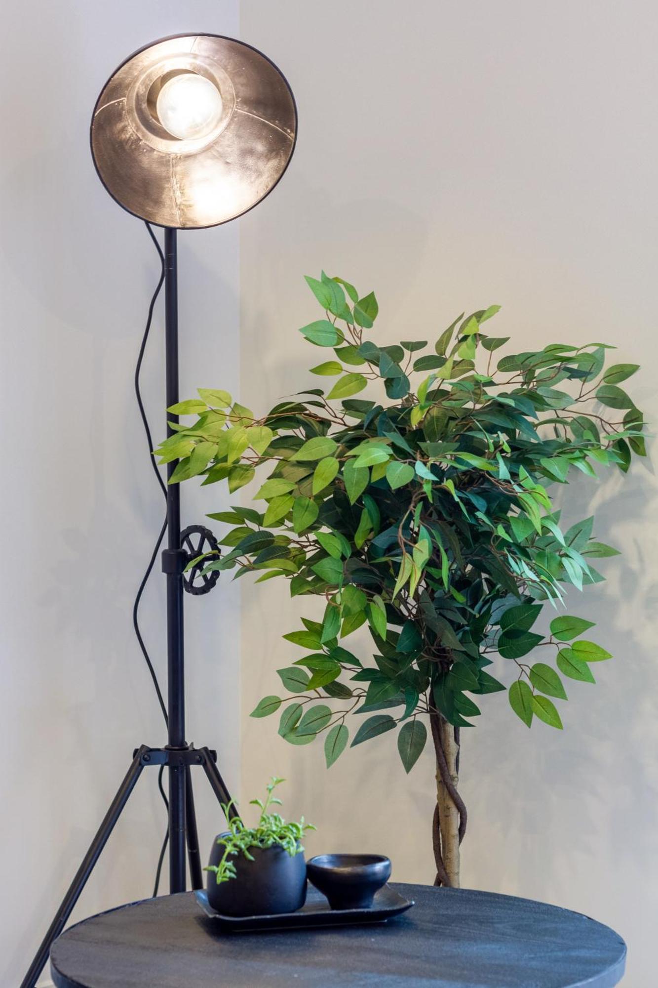 Merivale Gem: 2Br Townhouse Oasis 크라이스트처치 외부 사진